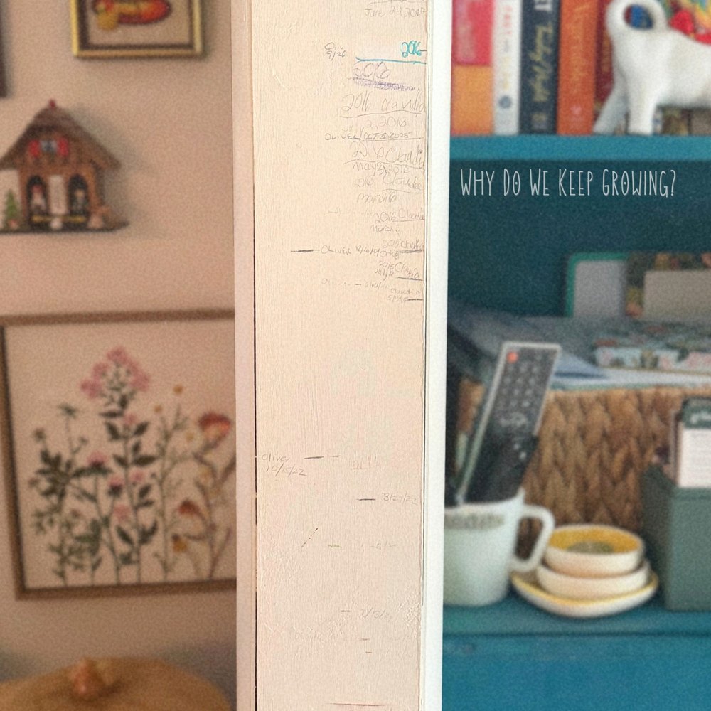 Cover of Why Do We Keep Growing?: a doorframe with years of pencil height marks beside a teal bookshelf